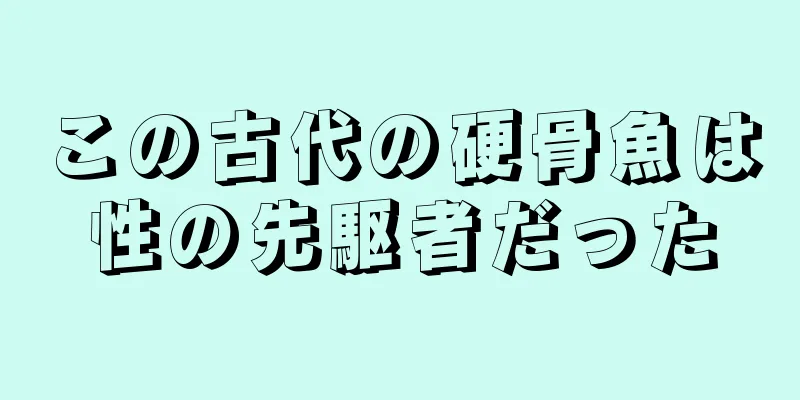 この古代の硬骨魚は性の先駆者だった