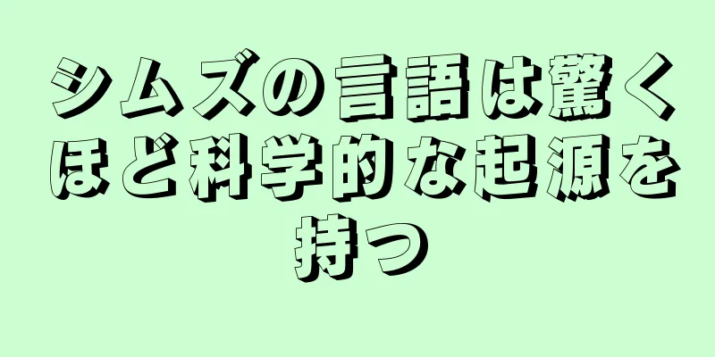 シムズの言語は驚くほど科学的な起源を持つ
