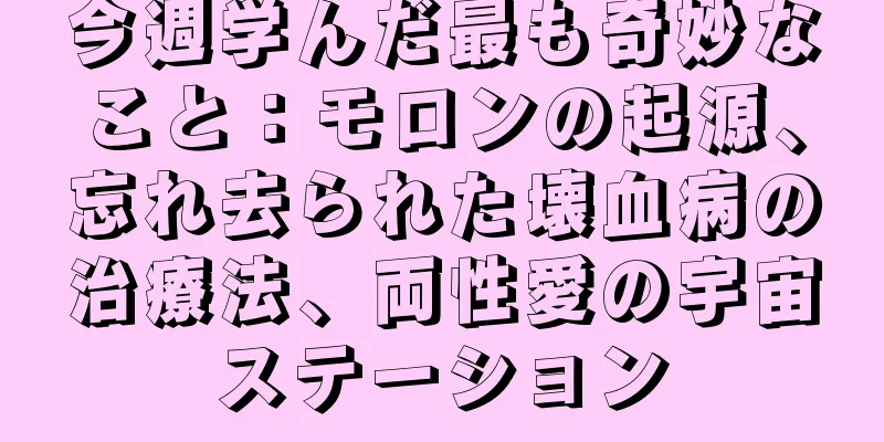 今週学んだ最も奇妙なこと：モロンの起源、忘れ去られた壊血病の治療法、両性愛の宇宙ステーション