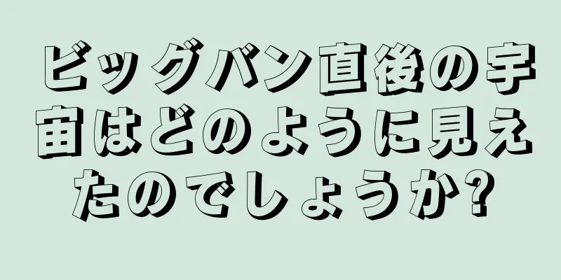 ビッグバン直後の宇宙はどのように見えたのでしょうか?