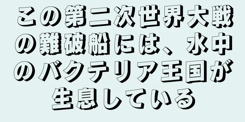 この第二次世界大戦の難破船には、水中のバクテリア王国が生息している
