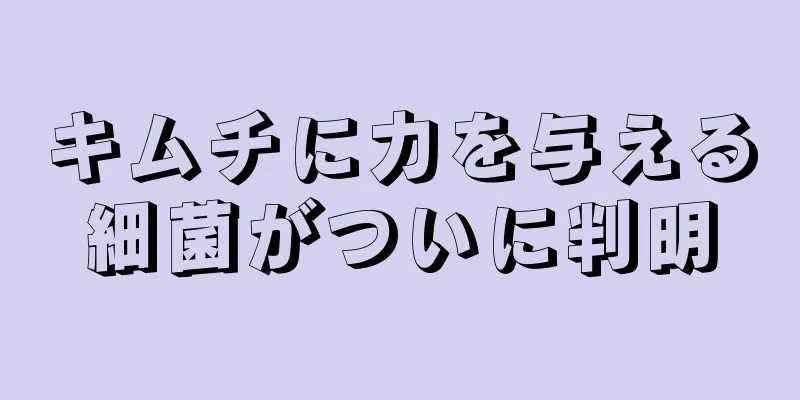 キムチに力を与える細菌がついに判明