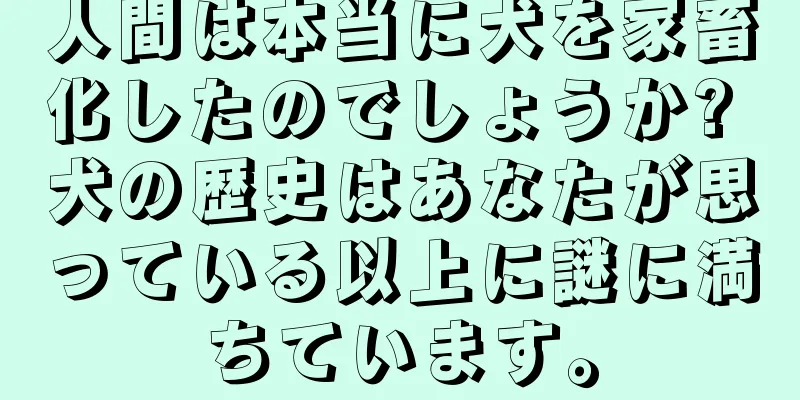 人間は本当に犬を家畜化したのでしょうか? 犬の歴史はあなたが思っている以上に謎に満ちています。