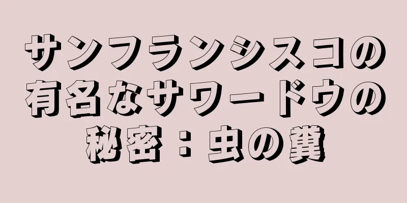 サンフランシスコの有名なサワードウの秘密：虫の糞