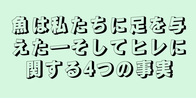 魚は私たちに足を与えた―そしてヒレに関する4つの事実