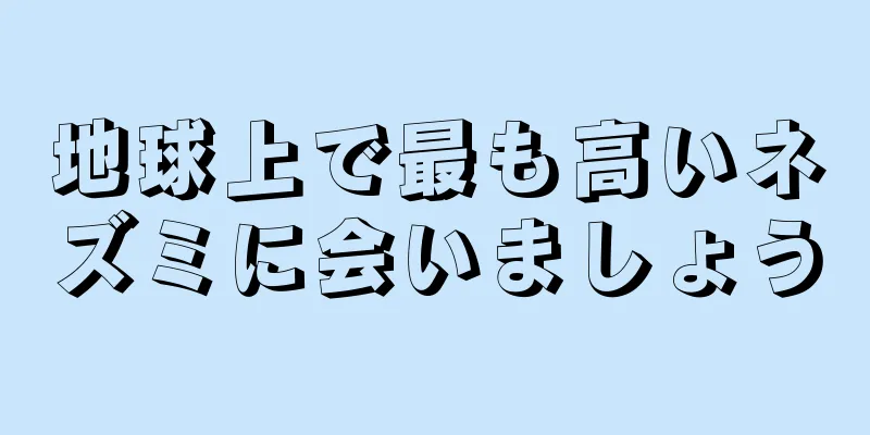 地球上で最も高いネズミに会いましょう