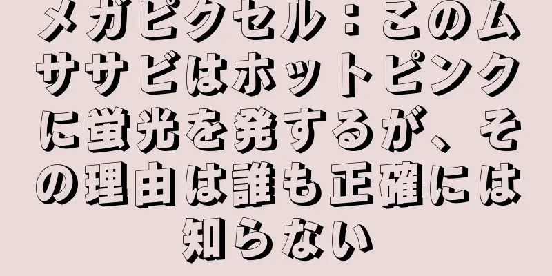 メガピクセル：このムササビはホットピンクに蛍光を発するが、その理由は誰も正確には知らない