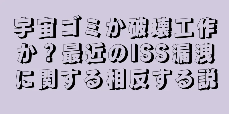 宇宙ゴミか破壊工作か？最近のISS漏洩に関する相反する説
