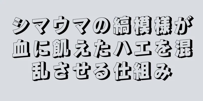 シマウマの縞模様が血に飢えたハエを混乱させる仕組み