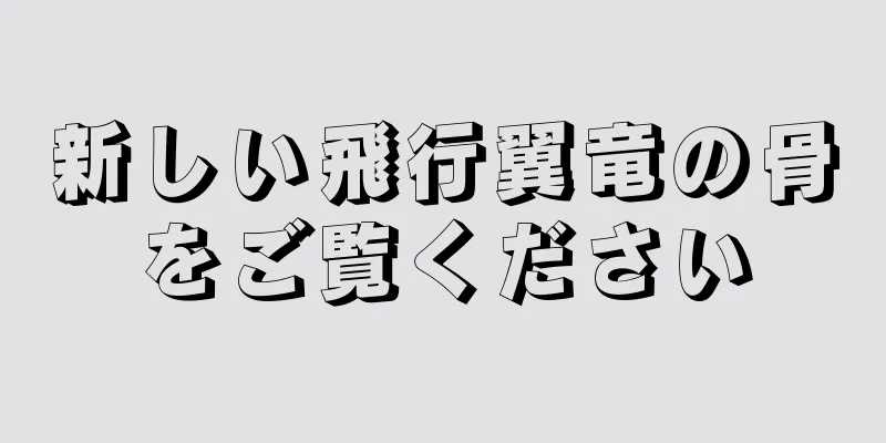 新しい飛行翼竜の骨をご覧ください