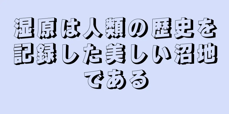 湿原は人類の歴史を記録した美しい沼地である