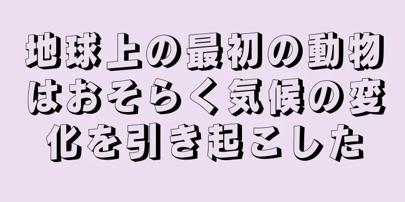 地球上の最初の動物はおそらく気候の変化を引き起こした