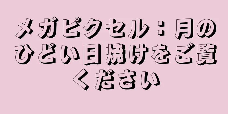 メガピクセル：月のひどい日焼けをご覧ください