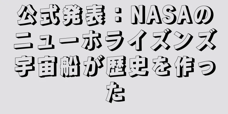 公式発表：NASAのニューホライズンズ宇宙船が歴史を作った