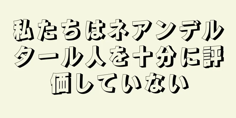 私たちはネアンデルタール人を十分に評価していない