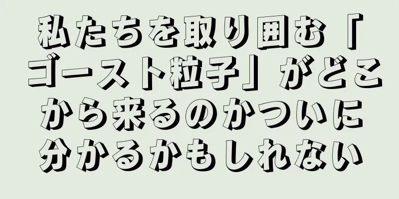 私たちを取り囲む「ゴースト粒子」がどこから来るのかついに分かるかもしれない