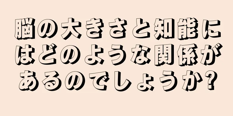脳の大きさと知能にはどのような関係があるのでしょうか?