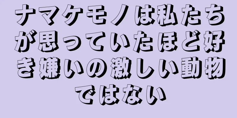 ナマケモノは私たちが思っていたほど好き嫌いの激しい動物ではない