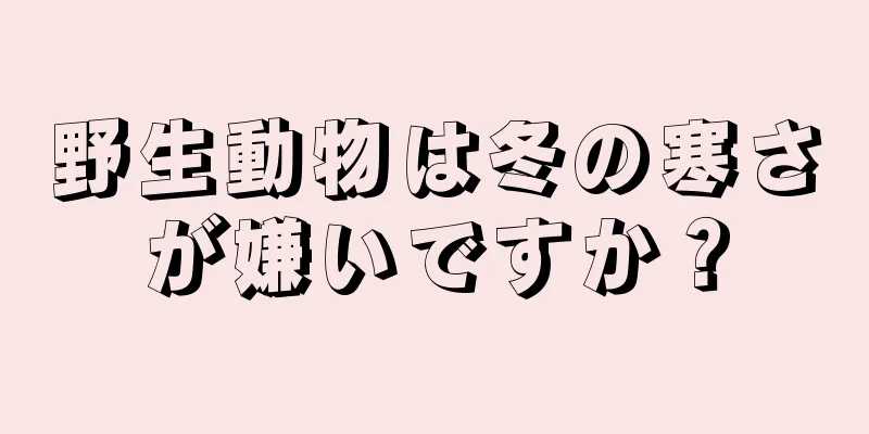 野生動物は冬の寒さが嫌いですか？