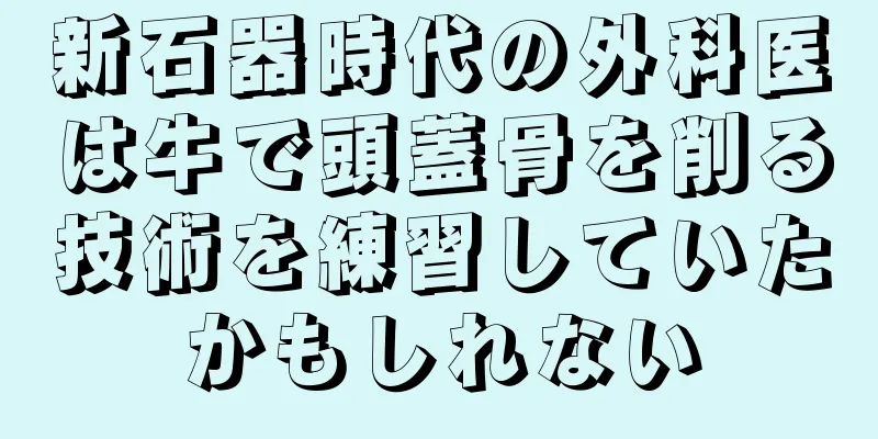 新石器時代の外科医は牛で頭蓋骨を削る技術を練習していたかもしれない