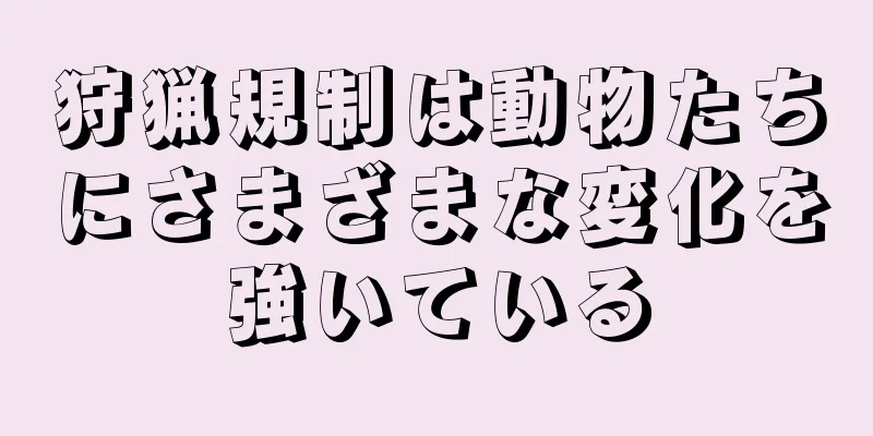 狩猟規制は動物たちにさまざまな変化を強いている