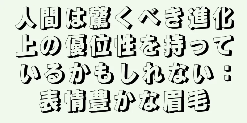 人間は驚くべき進化上の優位性を持っているかもしれない：表情豊かな眉毛