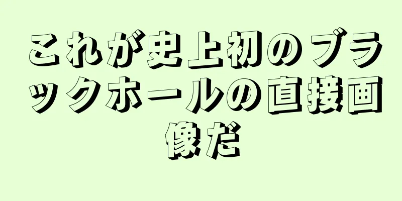 これが史上初のブラックホールの直接画像だ