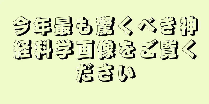 今年最も驚くべき神経科学画像をご覧ください