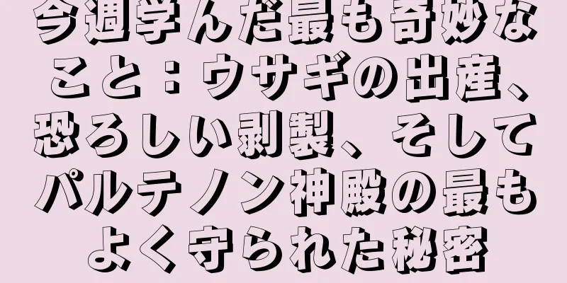 今週学んだ最も奇妙なこと：ウサギの出産、恐ろしい剥製、そしてパルテノン神殿の最もよく守られた秘密