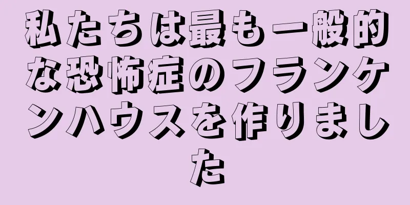 私たちは最も一般的な恐怖症のフランケンハウスを作りました