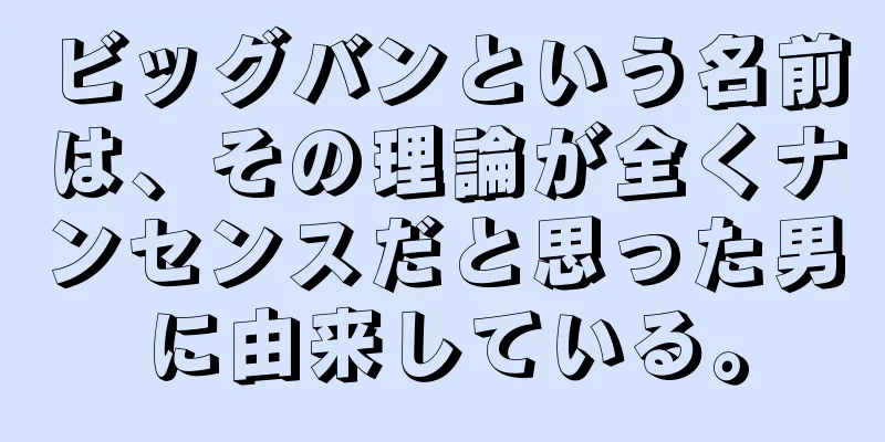 ビッグバンという名前は、その理論が全くナンセンスだと思った男に由来している。