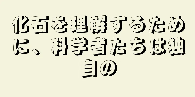 化石を理解するために、科学者たちは独自の