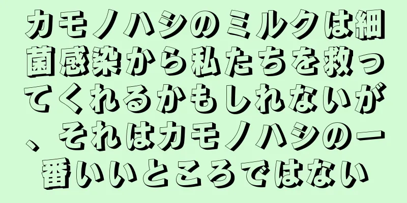 カモノハシのミルクは細菌感染から私たちを救ってくれるかもしれないが、それはカモノハシの一番いいところではない