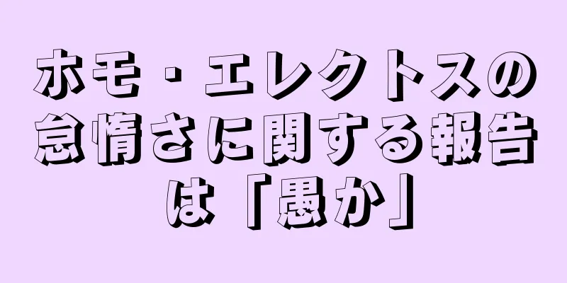 ホモ・エレクトスの怠惰さに関する報告は「愚か」