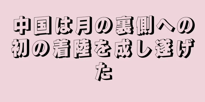 中国は月の裏側への初の着陸を成し遂げた