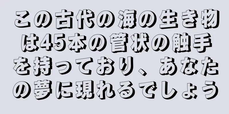 この古代の海の生き物は45本の管状の触手を持っており、あなたの夢に現れるでしょう
