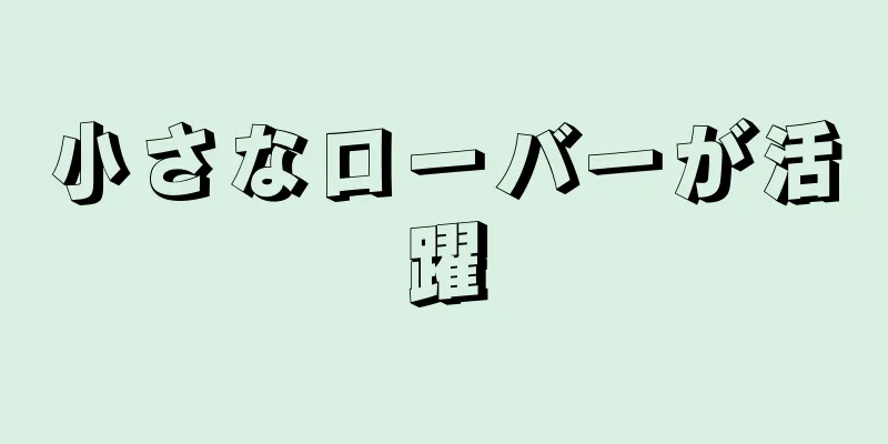 小さなローバーが活躍