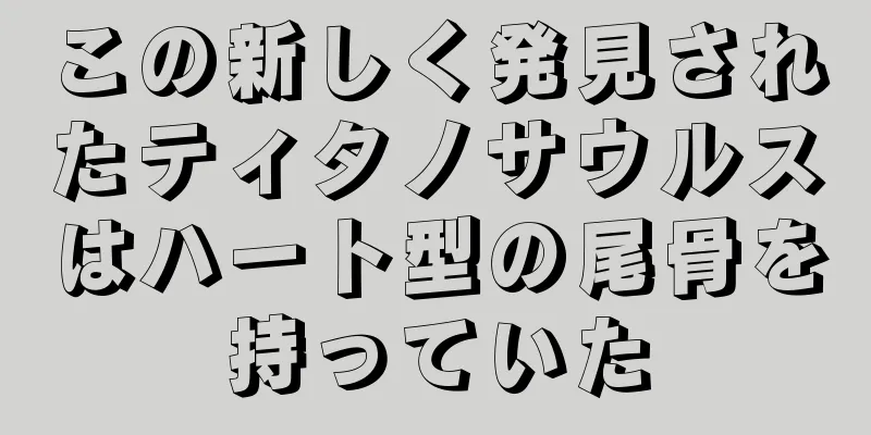 この新しく発見されたティタノサウルスはハート型の尾骨を持っていた