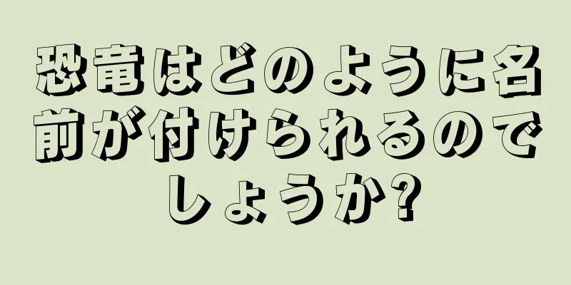 恐竜はどのように名前が付けられるのでしょうか?