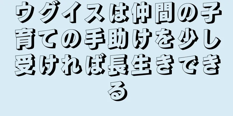 ウグイスは仲間の子育ての手助けを少し受ければ長生きできる