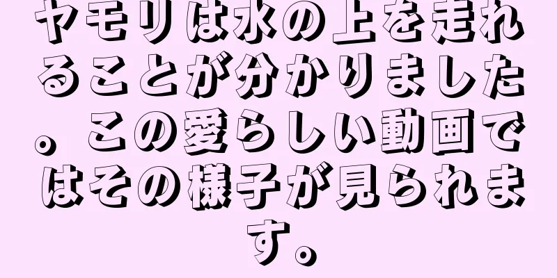 ヤモリは水の上を走れることが分かりました。この愛らしい動画ではその様子が見られます。