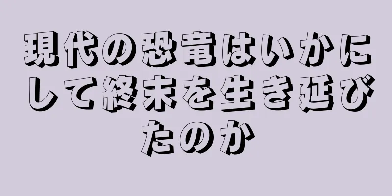 現代の恐竜はいかにして終末を生き延びたのか