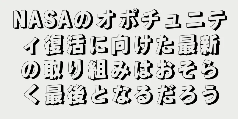 NASAのオポチュニティ復活に向けた最新の取り組みはおそらく最後となるだろう