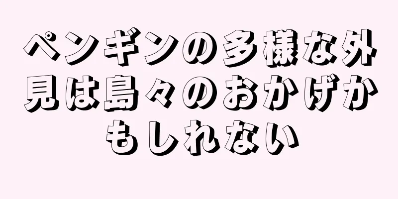 ペンギンの多様な外見は島々のおかげかもしれない