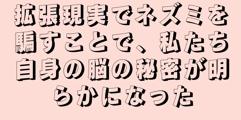 拡張現実でネズミを騙すことで、私たち自身の脳の秘密が明らかになった