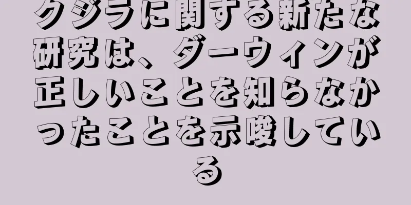 クジラに関する新たな研究は、ダーウィンが正しいことを知らなかったことを示唆している