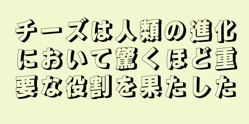 チーズは人類の進化において驚くほど重要な役割を果たした