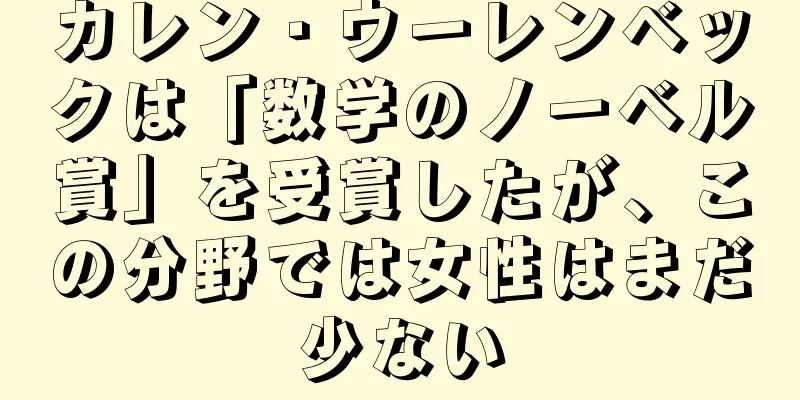 カレン・ウーレンベックは「数学のノーベル賞」を受賞したが、この分野では女性はまだ少ない