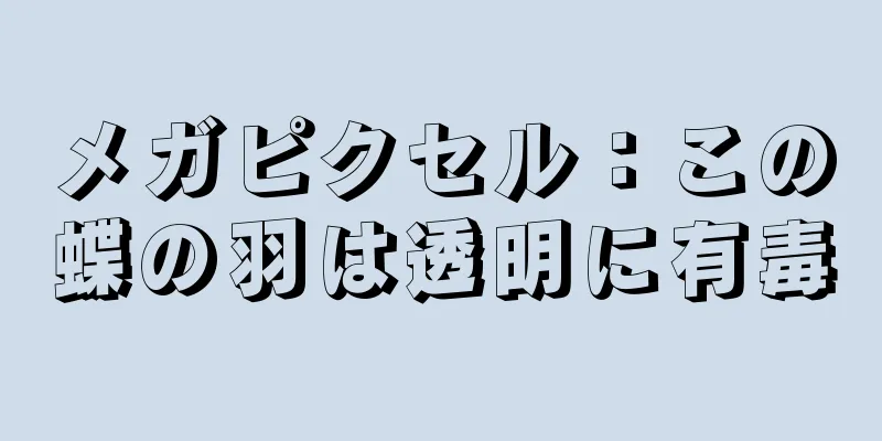 メガピクセル：この蝶の羽は透明に有毒