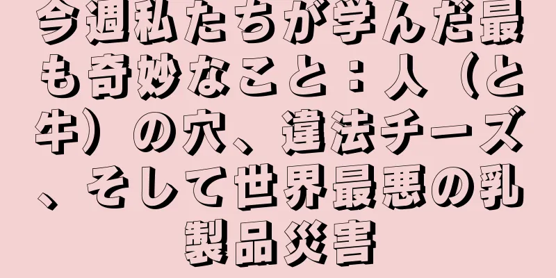 今週私たちが学んだ最も奇妙なこと：人（と牛）の穴、違法チーズ、そして世界最悪の乳製品災害